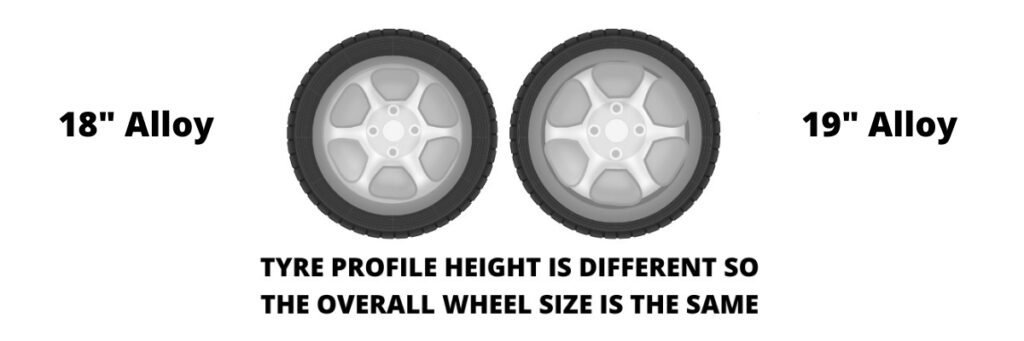 Plus sizing guide